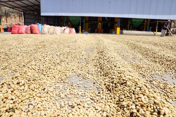 Integrantes del ODL conversando durante una jornada territorial