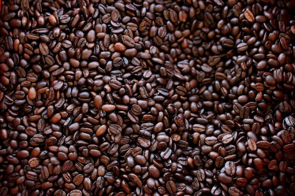 Personal del ODL recopilando datos con dispositivos móviles