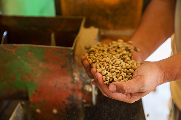 Participantes observando la plataforma del ODL en una sala de reuniones
